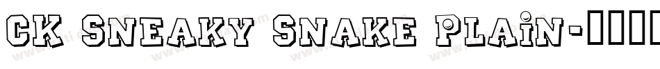 CK Sneaky Snake Plain字体转换
